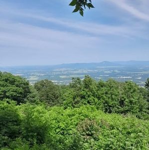 Meet your Posher, Eli